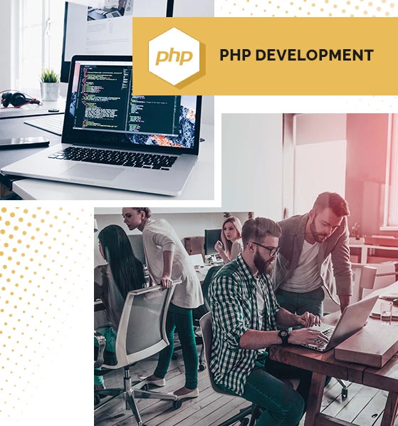 PHP Development Services