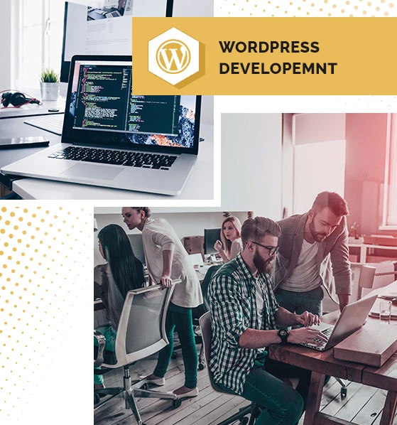 Wordpress Development Company